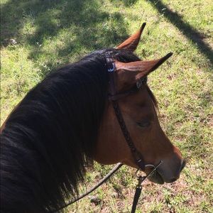 Meet your Posher, Anna